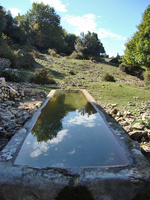 Fontanili del Lazio